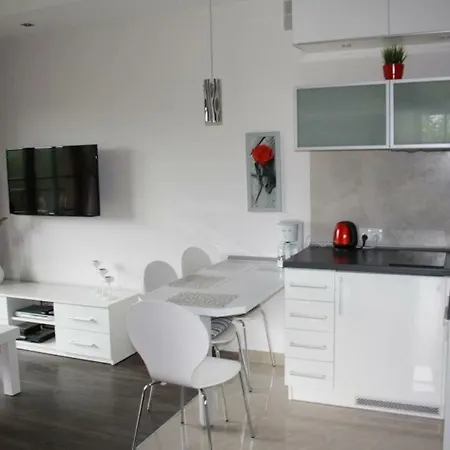 Sofii W Centrum Apartman Zakopane