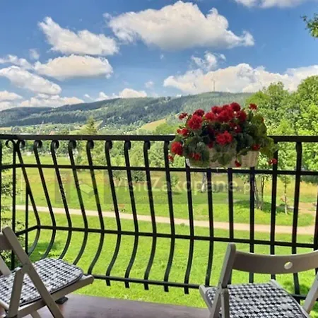 Sofii W Centrum Apartman Zakopane